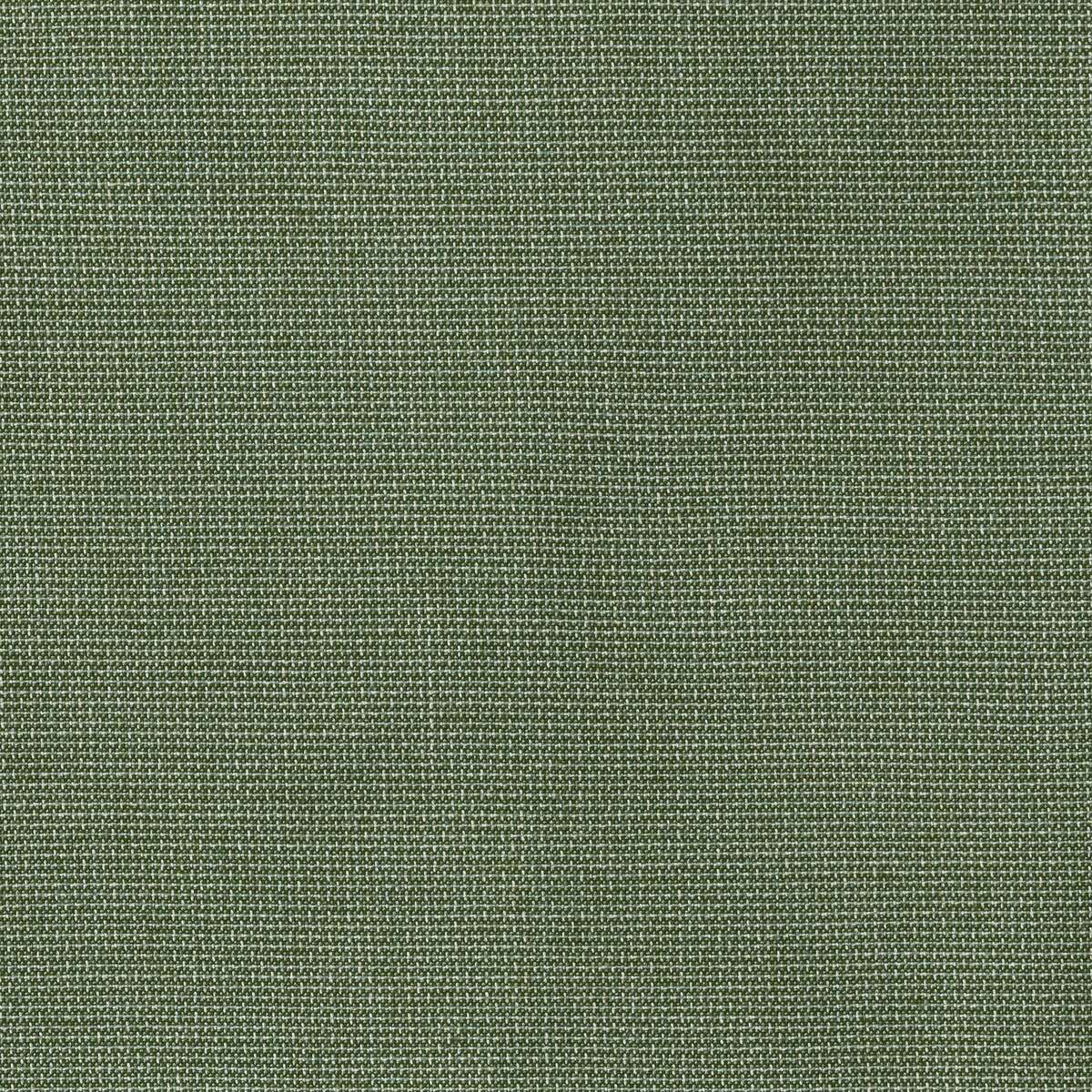 Sunbrella Upholstery Bliss Aloe (48135-0017)